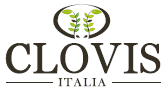 Logo-Clovis-Italia